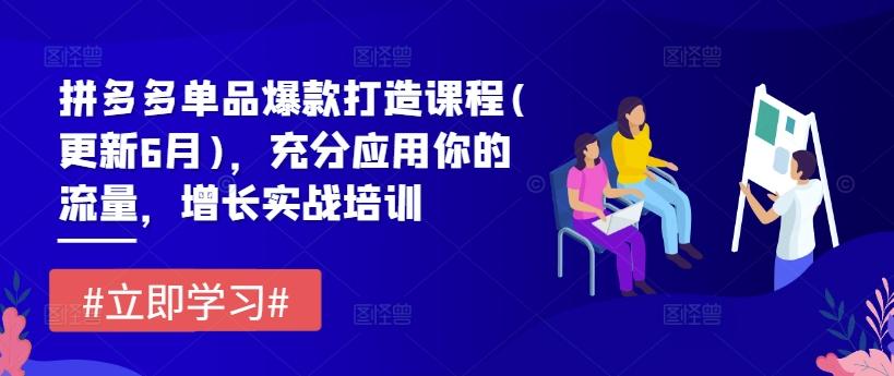 拼多多单品爆款打造课程(更新6月)，充分应用你的流量，增长实战培训壹学湾 - 一站式在线学习平台，专注职业技能提升与知识成长壹学湾