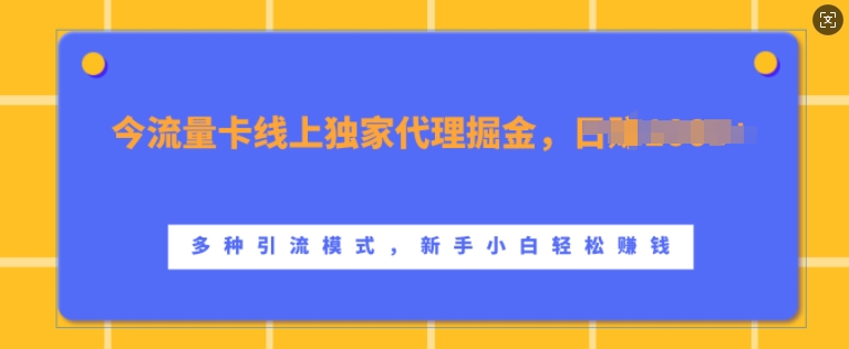 流量卡线上独家代理掘金，日入1k+ ，多种引流模式，新手小白轻松上手【揭秘】壹学湾 - 一站式在线学习平台，专注职业技能提升与知识成长壹学湾