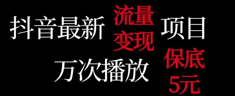 抖音流量变现，万次播放保底5元，额外收入壹学湾 - 一站式在线学习平台，专注职业技能提升与知识成长壹学湾