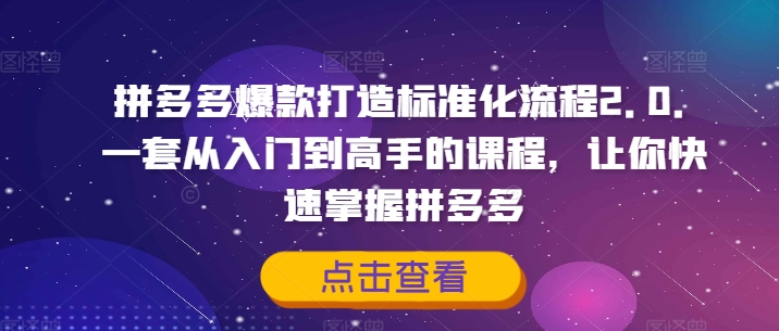 拼多多爆款打造标准化流程2.0，一套从入门到高手的课程，让你快速掌握拼多多壹学湾 - 一站式在线学习平台，专注职业技能提升与知识成长壹学湾