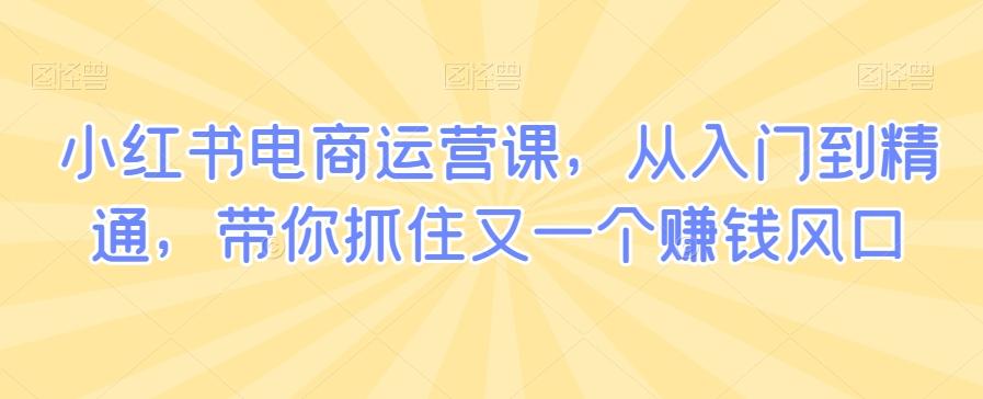 小红书电商运营课，从入门到精通，带你抓住又一个赚钱风口壹学湾 - 一站式在线学习平台，专注职业技能提升与知识成长壹学湾