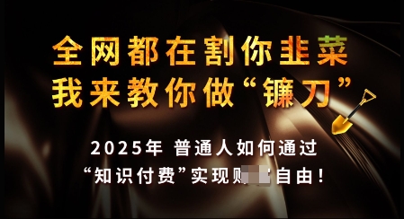 知识付费如何做到月入过W+，2025我来教你做“镰刀”【揭秘】壹学湾 - 一站式在线学习平台，专注职业技能提升与知识成长壹学湾