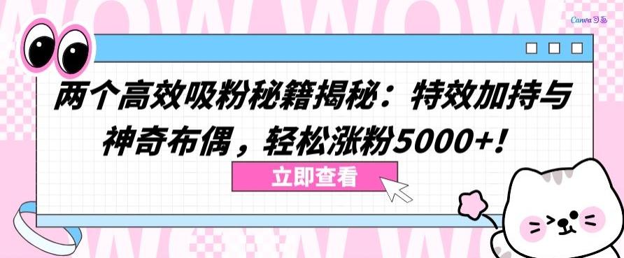 两个高效吸粉秘籍揭秘：特效加持与神奇布偶，轻松涨粉5000+【揭秘】壹学湾 - 一站式在线学习平台，专注职业技能提升与知识成长壹学湾