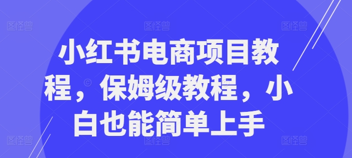 小红书电商项目教程，保姆级教程，小白也能简单上手壹学湾 - 一站式在线学习平台，专注职业技能提升与知识成长壹学湾