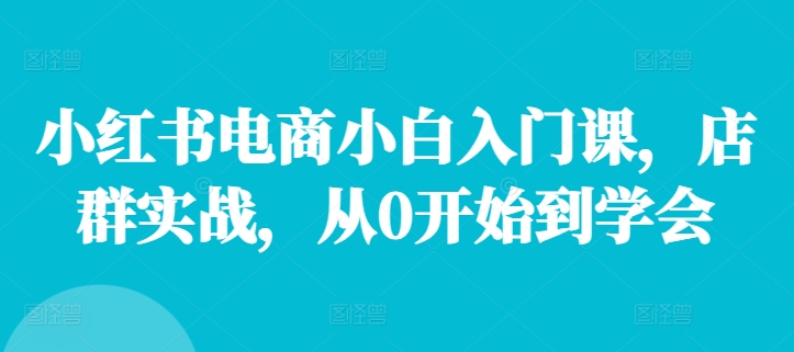 小红书电商小白入门课，店群实战，从0开始到学会壹学湾 - 一站式在线学习平台，专注职业技能提升与知识成长壹学湾