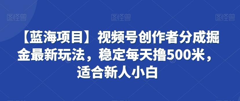 【蓝海项目】视频号创作者分成掘金最新玩法，稳定每天撸500米，适合新人小白【揭秘】壹学湾 - 一站式在线学习平台，专注职业技能提升与知识成长壹学湾