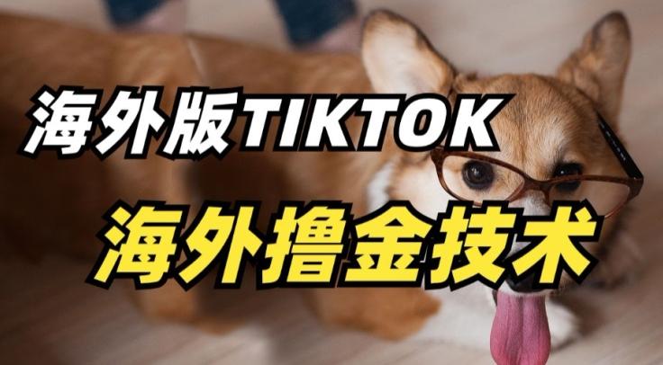 抖音海外版tiktok撸金技术，这个风口行业，赚钱真的不难【揭秘】壹学湾 - 一站式在线学习平台，专注职业技能提升与知识成长壹学湾