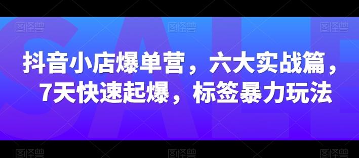 抖音小店爆单营，六大实战篇，7天快速起爆，标签暴力玩法壹学湾 - 一站式在线学习平台，专注职业技能提升与知识成长壹学湾