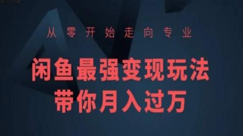 从零开始走向专业，闲鱼最强变现玩法带你月入过万壹学湾 - 一站式在线学习平台，专注职业技能提升与知识成长壹学湾