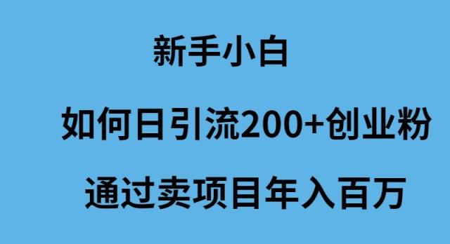 (9668期)新手小白如何日引流200+创业粉通过卖项目年入百万壹学湾 - 一站式在线学习平台，专注职业技能提升与知识成长壹学湾