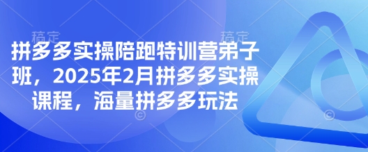 拼多多实操陪跑特训营弟子班，2025年2月拼多多实操课程，海量拼多多玩法壹学湾 - 一站式在线学习平台，专注职业技能提升与知识成长壹学湾