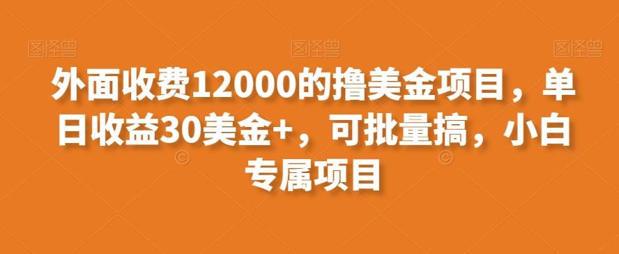 外面收费12000的撸美金项目，单日收益30美金+，可批量搞，小白专属项目壹学湾 - 一站式在线学习平台，专注职业技能提升与知识成长壹学湾