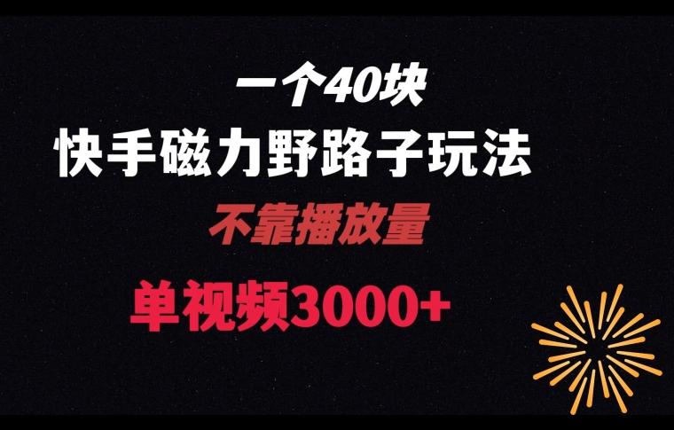 一个40块，快手联合美团磁力新玩法，无视机制野路子玩法，单视频收益4位数【揭秘】壹学湾 - 一站式在线学习平台，专注职业技能提升与知识成长壹学湾