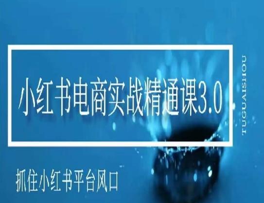 小红书电商实战精通课3.0，抓住小红书平台的风口，不错过有一个赚钱的机会壹学湾 - 一站式在线学习平台，专注职业技能提升与知识成长壹学湾