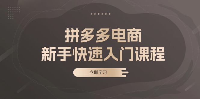 拼多多电商新手快速入门课程：涵盖基础、实战与选款，助力小白轻松上手壹学湾 - 一站式在线学习平台，专注职业技能提升与知识成长壹学湾