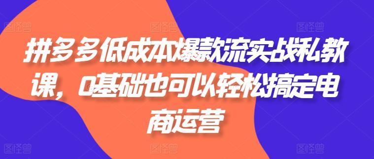 拼多多低成本爆款流实战私教课，0基础也可以轻松搞定电商运营壹学湾 - 一站式在线学习平台，专注职业技能提升与知识成长壹学湾