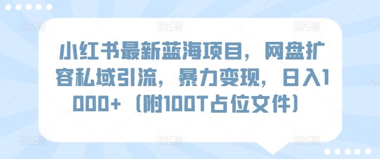 小红书最新蓝海项目，网盘扩容私域引流，暴力变现，日入1000+(附100T占位文件)【揭秘】壹学湾 - 一站式在线学习平台，专注职业技能提升与知识成长壹学湾