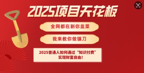 2025项目天花板普通人如何通过知识付费，实现财F自由【揭秘】壹学湾 - 一站式在线学习平台，专注职业技能提升与知识成长壹学湾